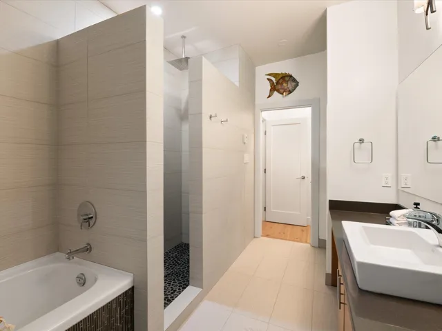 Bathroom with a bathing tub, walk in shower, and vanity