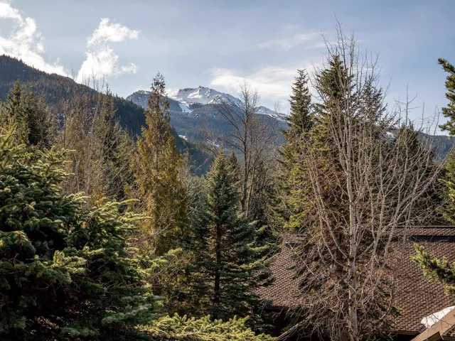 Property view of mountains featuring a forest view