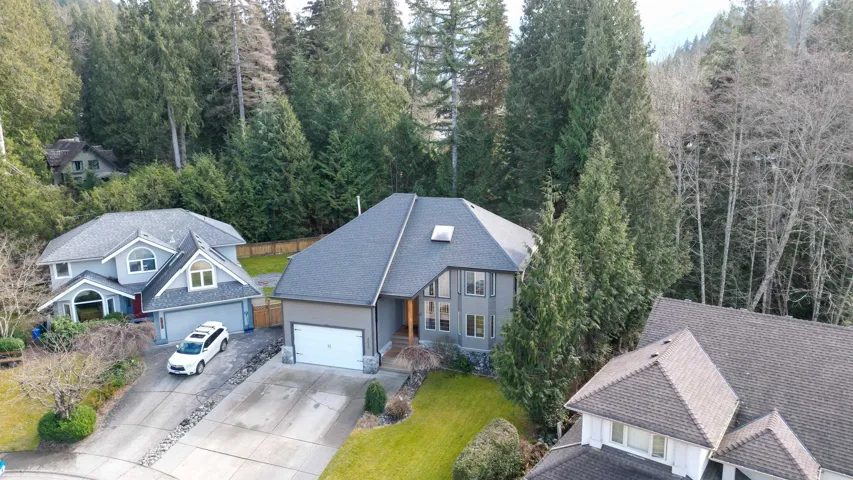 Drone / aerial view featuring a view of trees