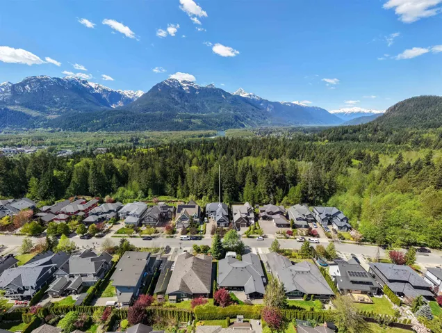 Snow-capped mountain range backdrop with extensive green forest
