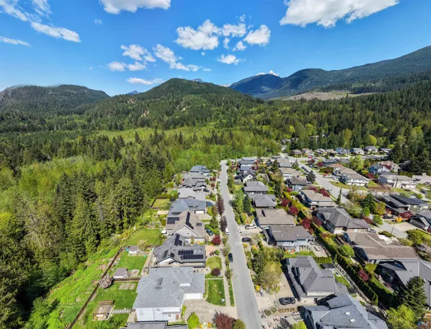 Residential neighborhood featuring a paved street with mature landscaping