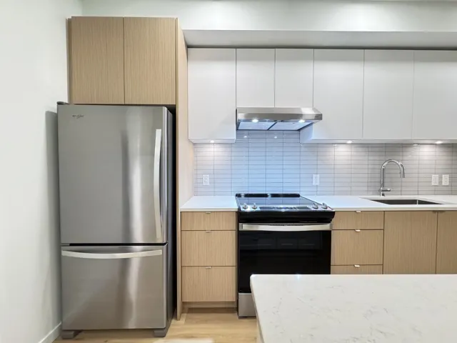 Kitchen featuring stainless steel appliances, modern cabinets, light stone counters, range hood, and decorative backsplash