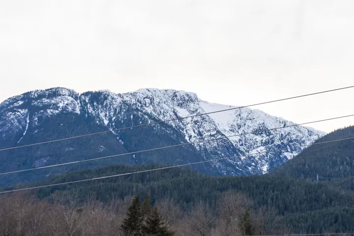 Property view of mountains featuring a forest view
