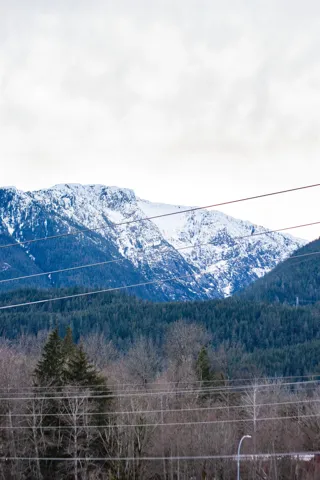 Property view of mountains with a forest view