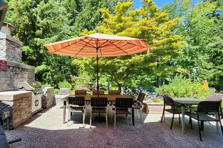 View of patio / terrace with outdoor dining area, an outdoor kitchen, and view of wooded area