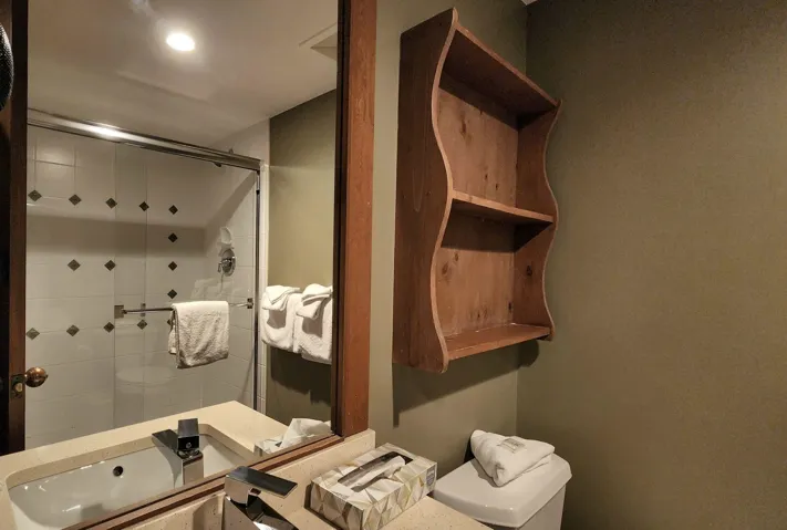 Full bathroom with a stall shower and vanity