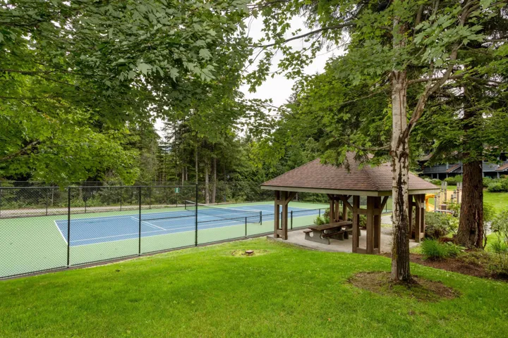 Fenced tennis court featuring a blue playing surface and green surrounds