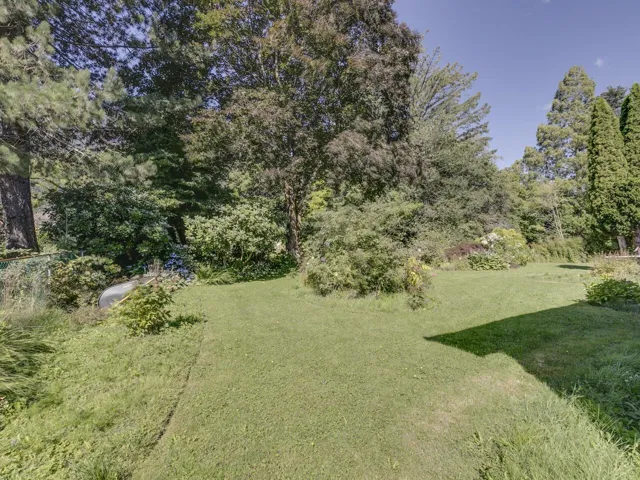 View of grassy yard