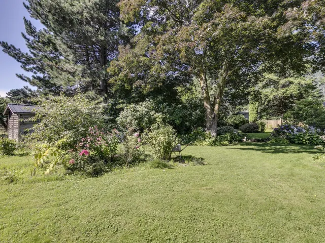 View of grassy yard featuring view of wooded area