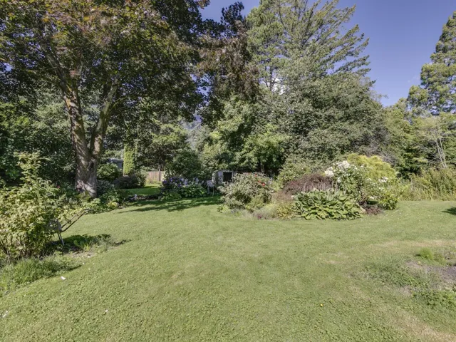 View of grassy yard with view of scattered trees