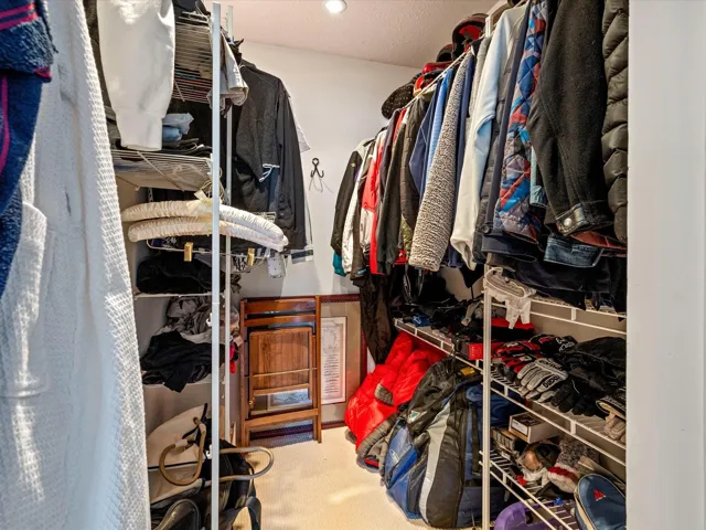 Walk in closet with carpet floors