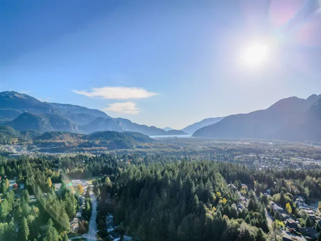 View of mountain background with a forest