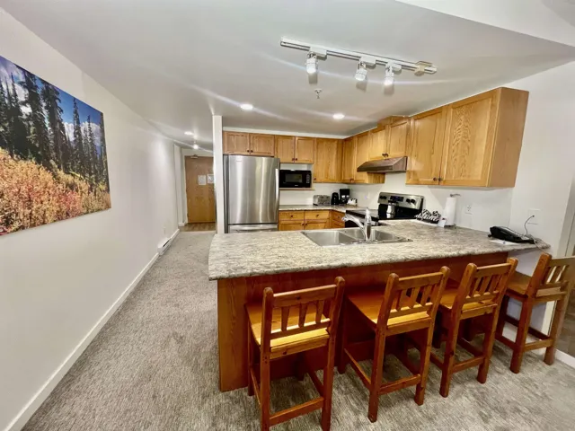 Kitchen featuring baseboards, a peninsula, under cabinet range hood, stainless steel appliances, and light carpet