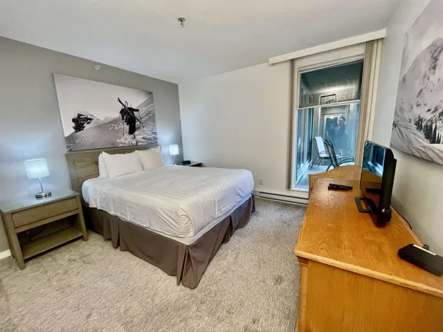Bedroom featuring carpet and baseboard heating