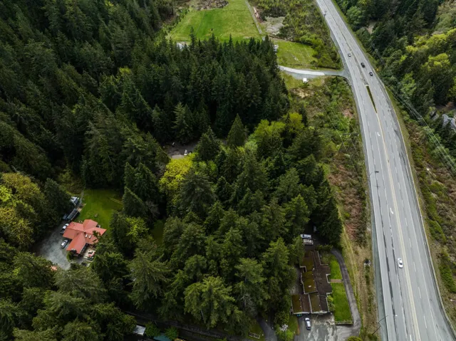 Drone / aerial view of a tree filled landscape