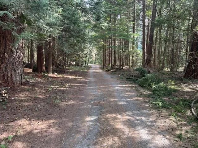 View of dirt / gravel road with a wooded view