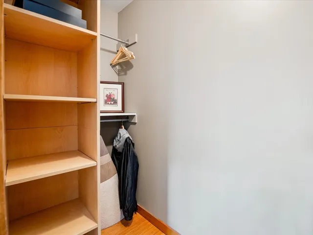 Walk in closet with wood finished floors