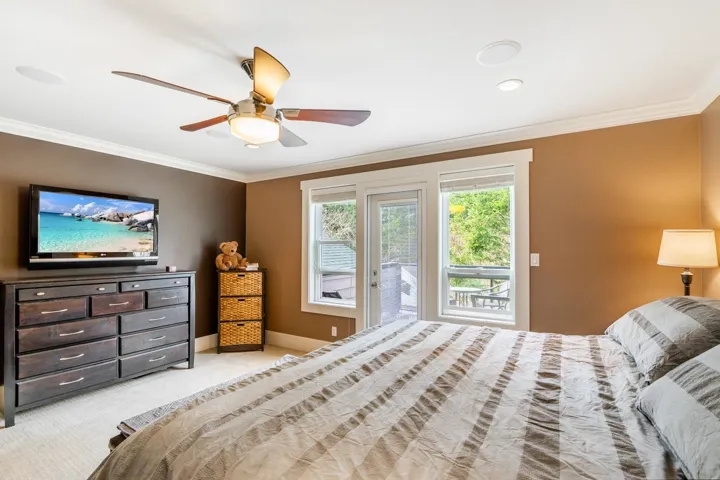 Bedroom with crown molding, ceiling fan, access to exterior, and light carpet