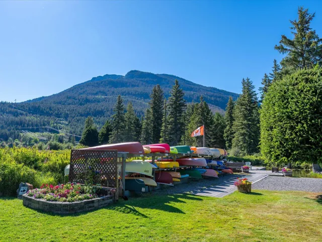 View of mountain background featuring a heavily wooded area