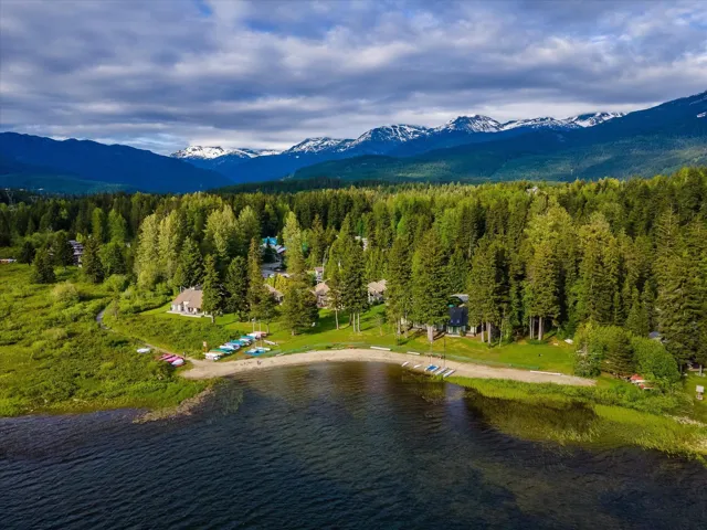 Aerial view of a water and mountain view and a forest