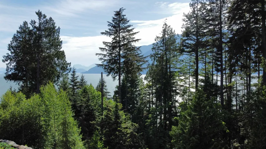 Water view with a mountain backdrop