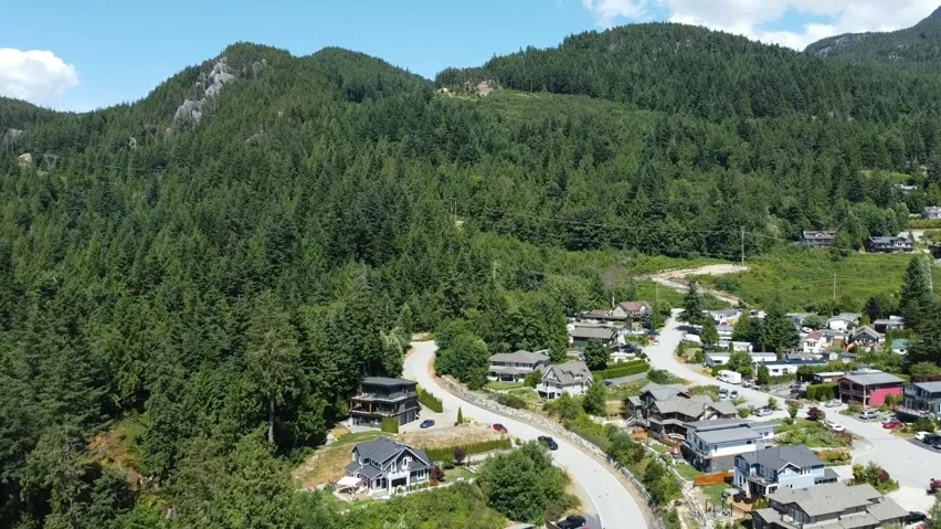 Aerial perspective of suburban area featuring a forest and mountains