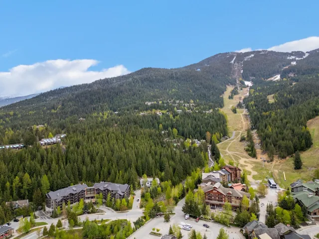 Alpine resort community featuring extensive tree coverage and a ski hill with visible runs