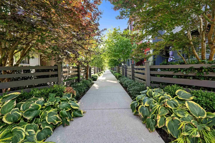 Paved walkway bordered by manicured landscaping, featuring diverse foliage and a consistent fence line