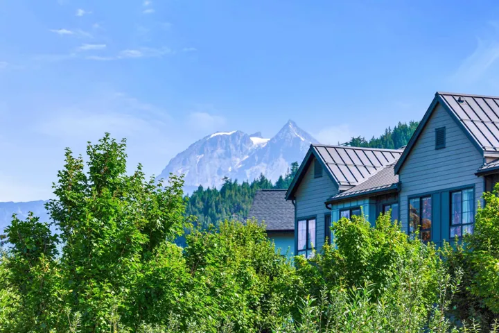 Contemporary residences featuring metal roofs, horizontal siding, and multiple windows