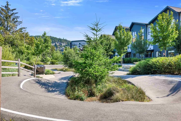 Paved pathway and landscaped green space with mature trees