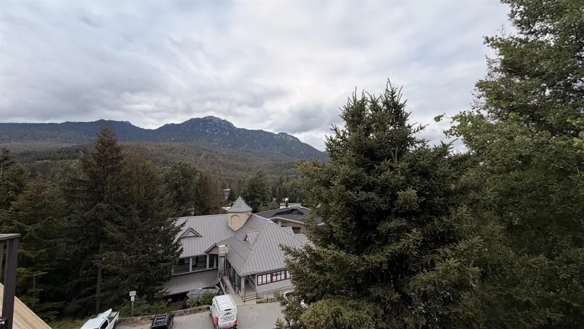 Mountain backdrop featuring extensive tree coverage
