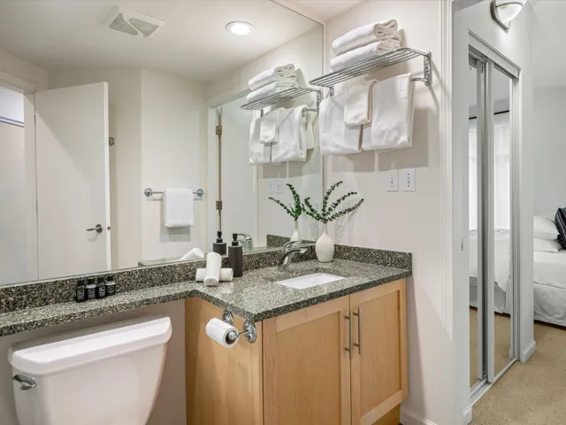 Ensuite bathroom with vanity and light colored carpet
