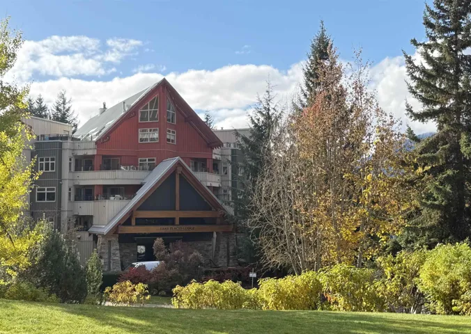 Back of house featuring a yard and stone siding