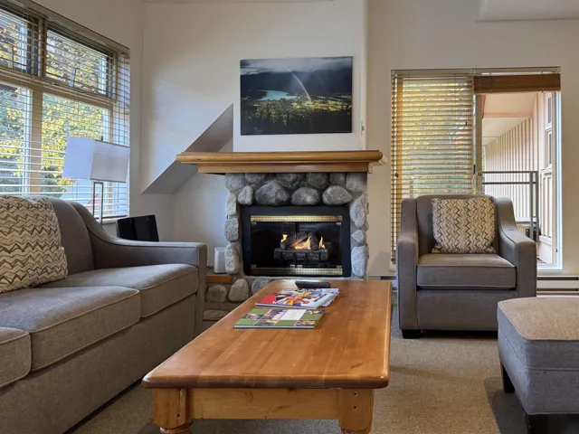 Living room with a stone fireplace, healthy amount of natural light, carpet flooring, and baseboard heating