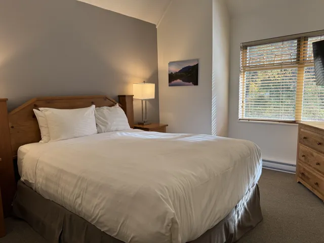 Bedroom with carpet floors, vaulted ceiling, and a baseboard heating unit
