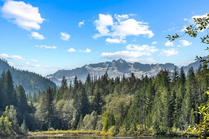 View of mountain backdrop featuring a nearby body of water and a forest