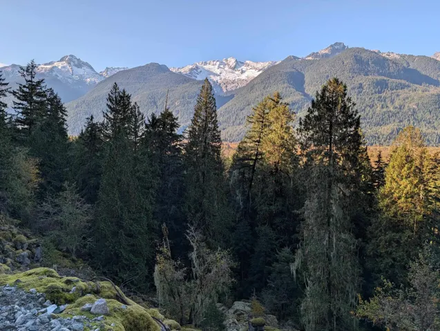 View of mountain background with a forest