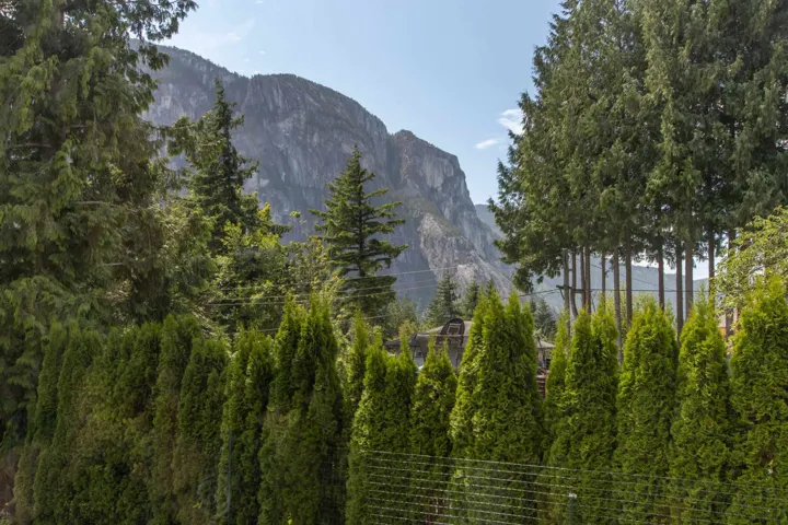 View of mountain background