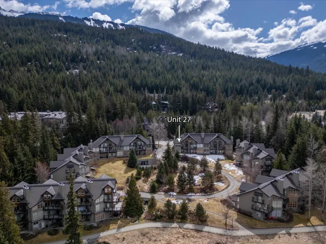 Drone / aerial view with a mountain view and a view of trees