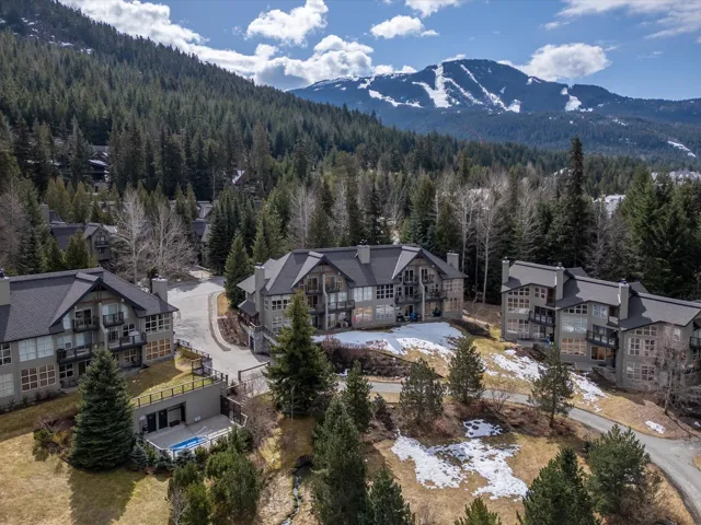 Bird's eye view featuring a mountain view and a view of trees