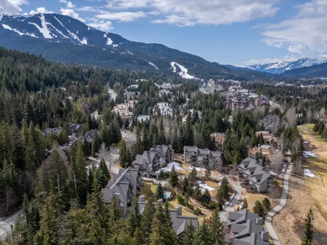 Aerial view featuring a wooded view and a mountain view