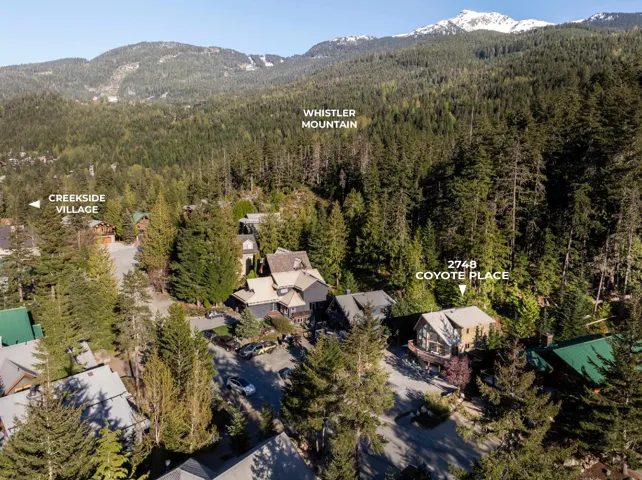 Aerial perspective showcasing a residential area nestled among dense evergreen forests