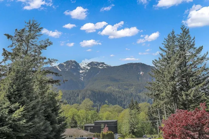 View of mountain backdrop featuring a forest