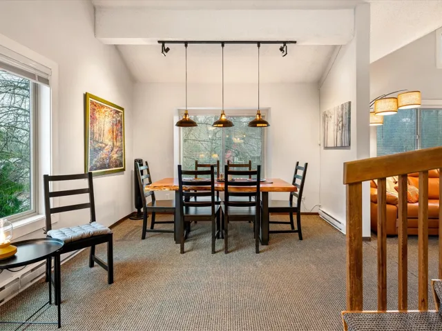 Carpeted dining room with track lighting, plenty of natural light, and a baseboard heating unit