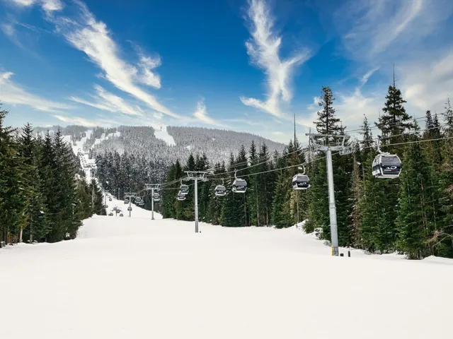 View of mountain backdrop with a forest