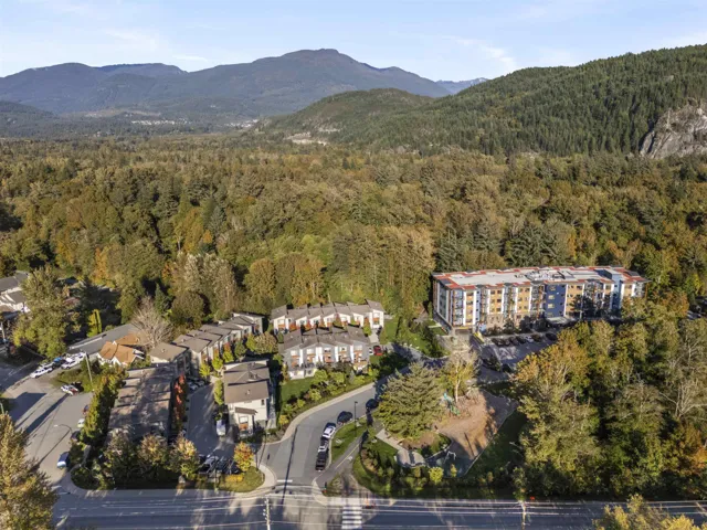 Aerial overview of property's location with a forest and a mountain backdrop