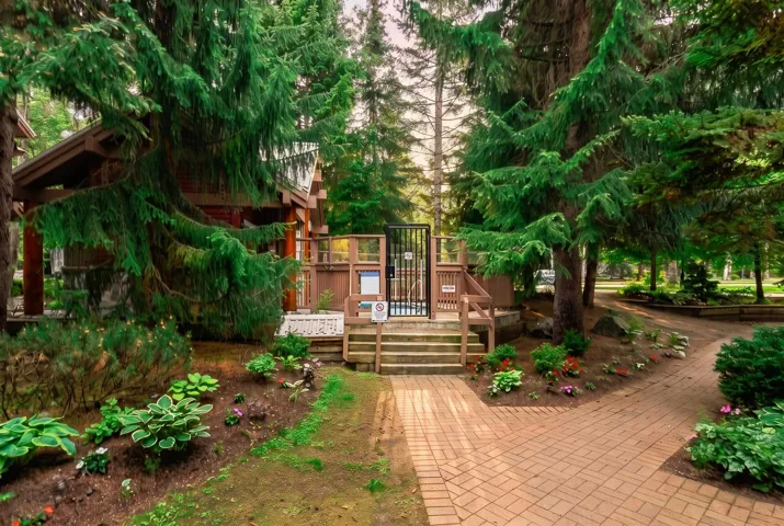 Outdoor communal area featuring a brick paver pathway, mature evergreen trees, and landscaped garden beds