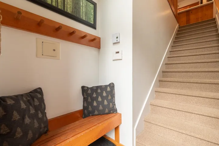 Carpeted staircase with light-toned wall finishes