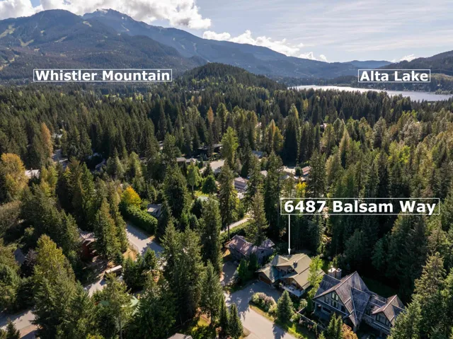 Drone / aerial view of a mountainous background and a heavily wooded area