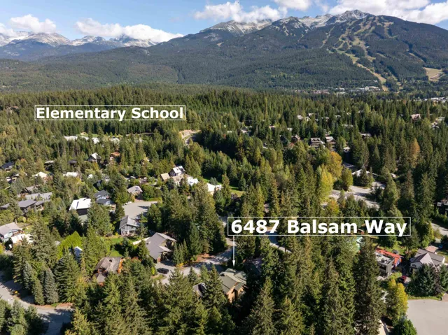Aerial view of property's location featuring a mountain backdrop and a forest